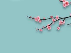 2024年12生肖財運排行榜 2024年十二生肖