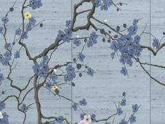 2024屬虎人全年運勢男 屬虎2024運勢及運程詳解