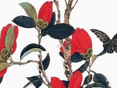 根據(jù)出生日期查五行缺什么 出生日期查五行缺什么軟件