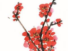 八字面相手相不一致 八字手相面相等等的算命準嗎