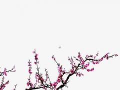 八字算命看婚姻準(zhǔn)嗎 八字算命婚姻準(zhǔn)嗎能信嗎