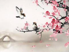 塔羅牌在線占卜愛情事業財運 塔羅牌在線占卜免費算命事業