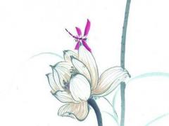 算命先生常說中等命什么意思 中等命是什么意思