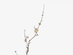 面相眼睛露三白有何性格特點 表示什么