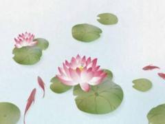 屬蛇女適合養什么綠植 屬蛇的人適合養什么綠植