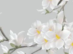 八字是庚午庚辰戊辰丙辰 庚午庚辰戊午丙辰八字