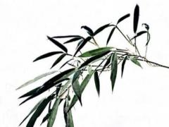 今年62歲屬狗,屬狗的六十幾了