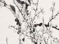 算命說(shuō)命中帶寡是什么意思 命中帶寡怎么破解