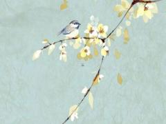 屬狗的和屬龍的相配嗎,男龍女狗相差6歲婚姻好不好