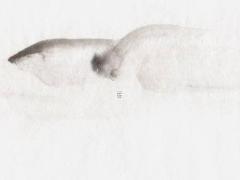 68年男屬猴人配72年女屬鼠 68年屬猴男和72年屬鼠女相配嗎