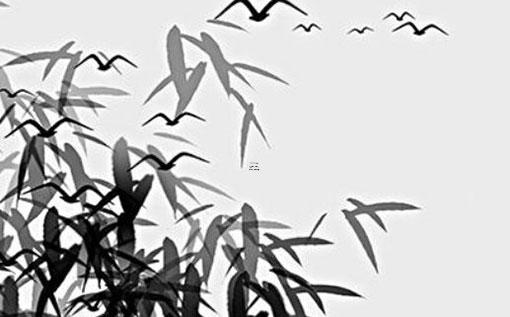 八字什么事后有桃花運 生辰八字有桃花運啥意思
