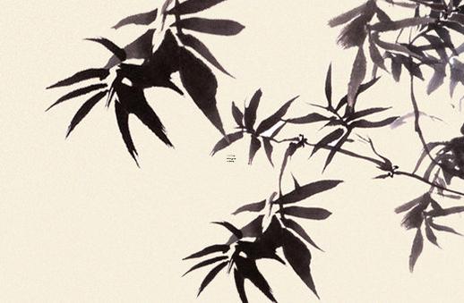 死墓絕在八字排盤中啥意思 算命死墓絕的意思