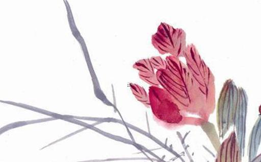 屬虎幸運顏色和數字 屬虎幸運顏色和數字1998