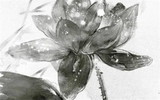 屬豬虎養(yǎng)什么植物最好,屬豬的人養(yǎng)什么植物旺財(cái)旺丁