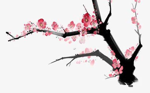 女弓箭手好聽的名字