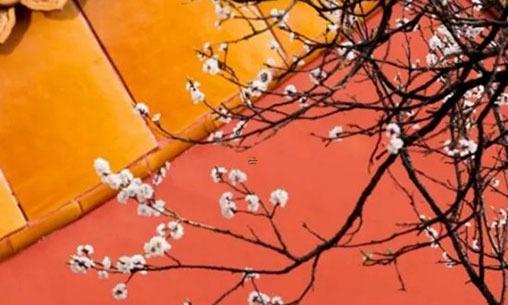 戚姓什么字當(dāng)名字好聽 精選新生兒好聽的名字