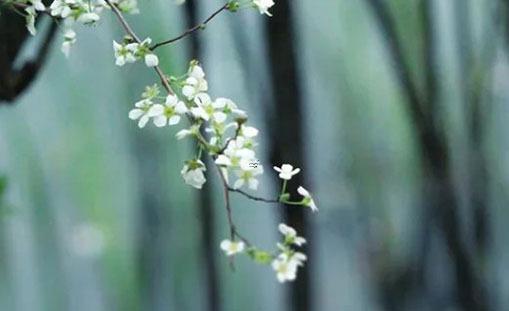 藍字五行是什么 藍字的五行屬性是什么意思