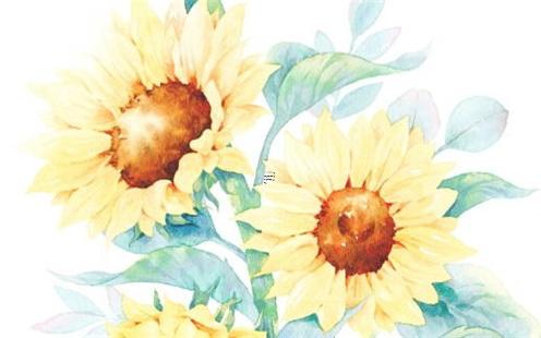 生肖羊最佳婚配是哪個生肖 羊生肖婚姻配對什么最佳