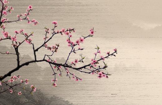 易經(jīng)里的現(xiàn)的意思是 現(xiàn)存的什么就是易經(jīng)