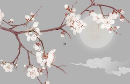 家中養(yǎng)什么植物聚財旺財 家中養(yǎng)什么植物聚財旺財旺家？