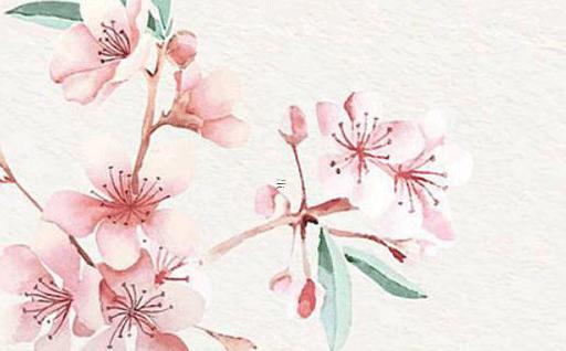 貔貅女士帶哪個(gè)手 貔貅為什么睡覺(jué)不能戴