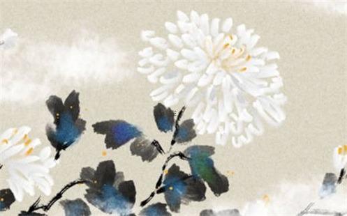 屬蛇適合在臥室養(yǎng)什么花 屬蛇臥室擺什么植物好
