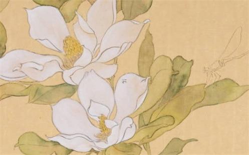 屬牛的人今年運勢 屬牛的人今年運勢如何1997