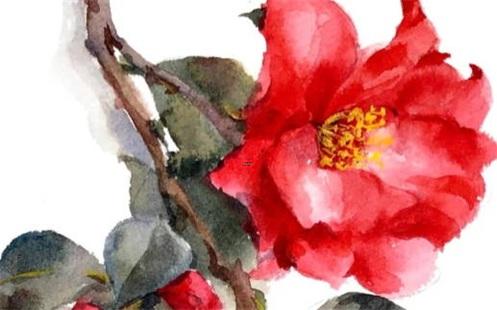 八字如何知道自己生二胎好不好 八字看生二胎