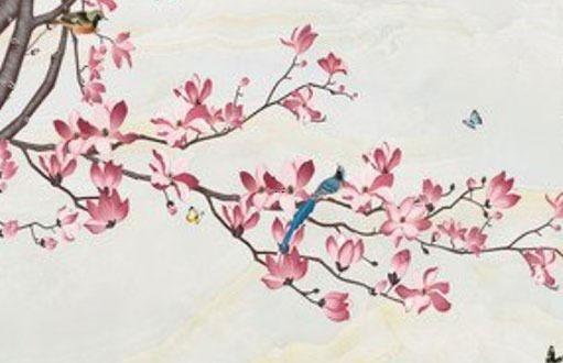 屬龍禁忌顏色,屬龍人禁忌顏色