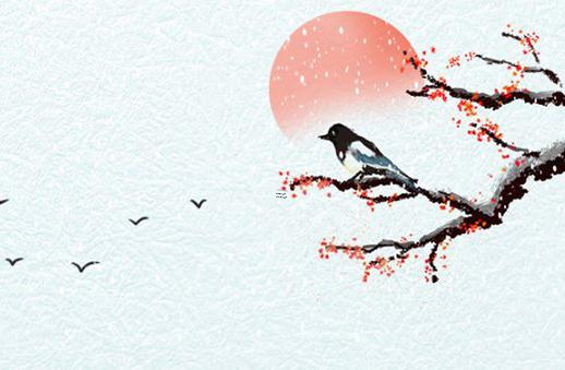 算生辰八字需要什么信息 算八字都需要什么信息