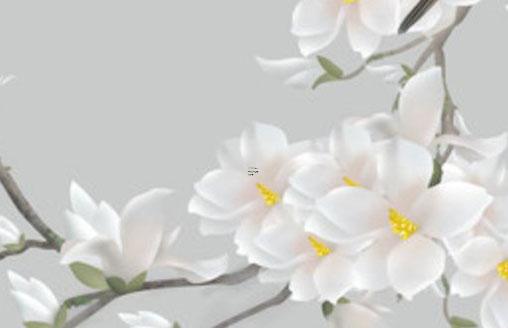 易經(jīng)中的金格線是什么意思 金格啥意思