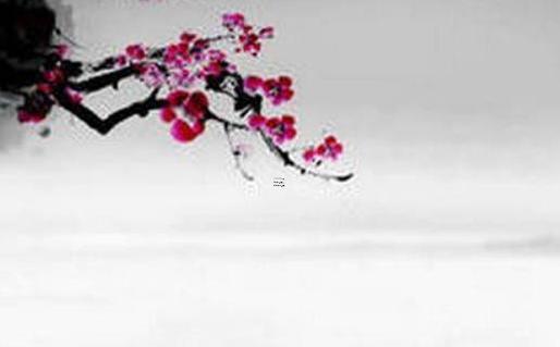 生辰八字火命什么意思 生辰八字火命是什么意思