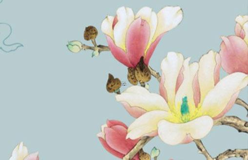 屬蛇家中養(yǎng)什么花好,屬蛇的在家里養(yǎng)什么花比較好