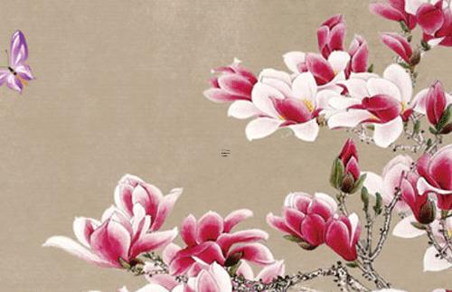 屬兔人哪年運(yùn)氣最好 屬兔的人那年運(yùn)氣好