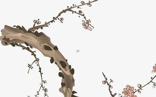 擁有武庫伏羲骨的人面相好不好 武庫伏羲骨圖片