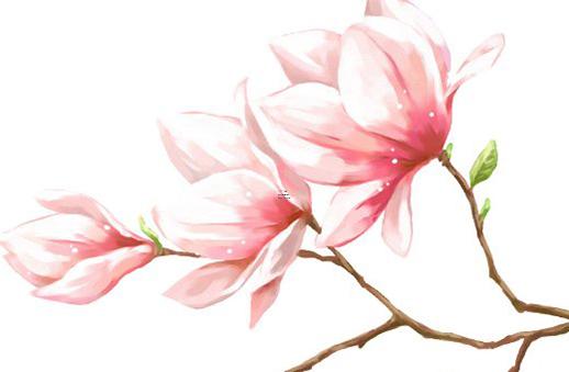 一年給情人多少錢適合 一年給情人20萬算多嗎