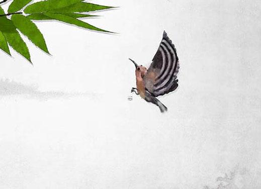 虎年的最佳婚配是什么 虎年的人配什么年的好