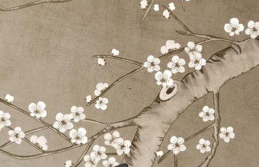 1977年屬蛇男最佳婚配 1977年屬蛇男最佳婚配