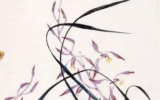 真的能大補(bǔ) 大補(bǔ)了會怎么樣