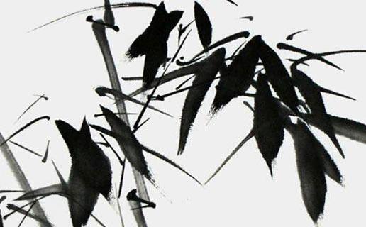 屬兔生屬虎的孩子好不好 屬兔生屬虎的好嗎