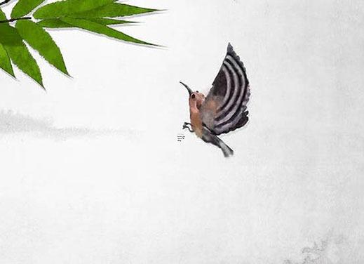 我又不是算命的是什么意思 我不是算命的我知道你幾個意思