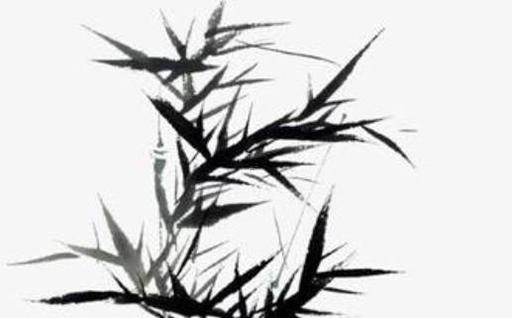 屬豬的跟屬什么的最配 最克豬的屬相