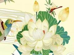 幫我看這命運財運事業如何 算命事業財運的話語