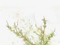 炒雞傷心網名大合集