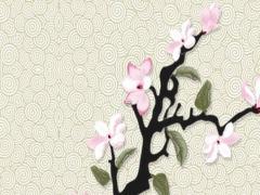 算命的說財運官運什么意思呀 算命的說我有財運和官運