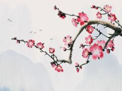 感覺準不準 感覺準是怎么回事