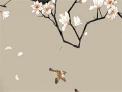 算八字能算出以前的感情嗎 八字能不能算出來會不會離婚
