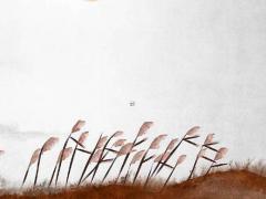 八字怎么看另一半年齡 八字怎么看對(duì)象年齡