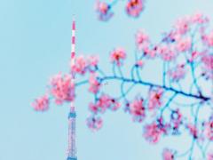 易經八字算命合婚 八字合婚