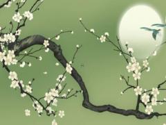 如何算出一年里的運(yùn)程 怎么算一年